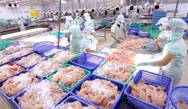 Экспорт рыбной продукции полностью восстанавливается после COVID-19 ảnh 1 Экспорт рыбной продукции полностью восстанавливается после COVID-19 ảnh 1