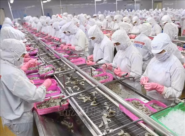 Вьетнам отмечает впечатляющий рост экспорта рыбной продукции в Китай ảnh 1