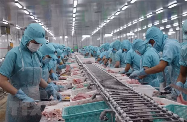 Экспорт рыбной продукции может принести 9 млрд. долл. США в 2021 году ảnh 1