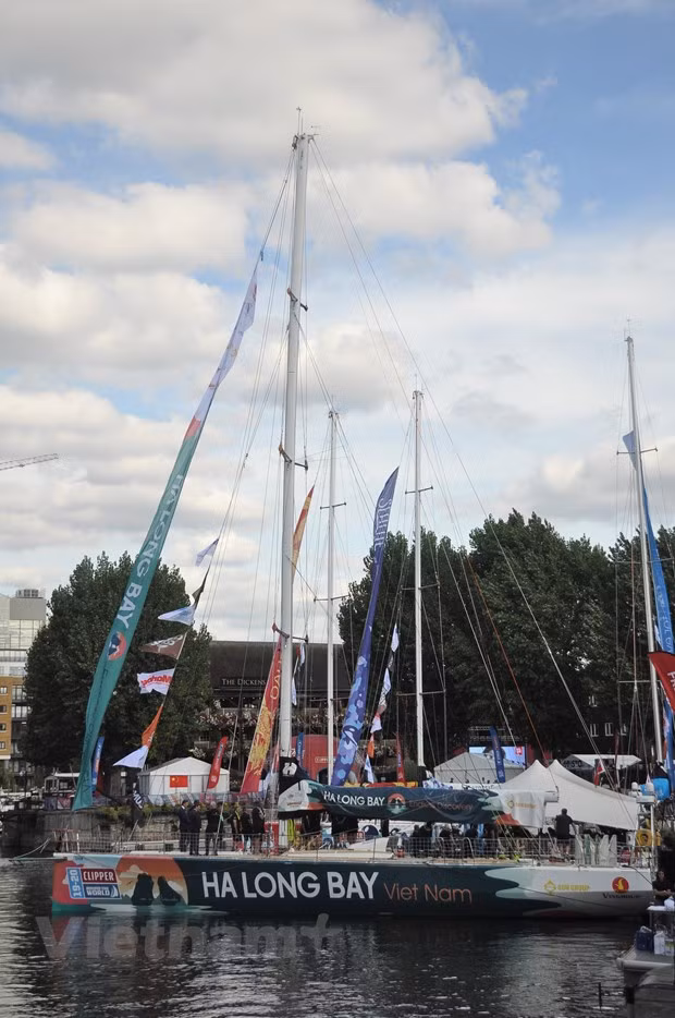 Яхта «Ha Long Bay - Vietnam» принимает участие в кругосветной гонке «Clipper Race» ảnh 1
