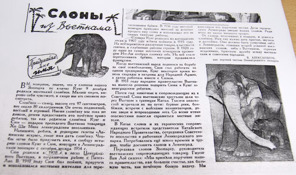 Презентация «Сюнг и Кунг»: Возвращение слонов Дяди Хо на вьетнамскую землю ảnh 2 Презентация «Сюнг и Кунг»: Возвращение слонов Дяди Хо на вьетнамскую землю ảnh 2
