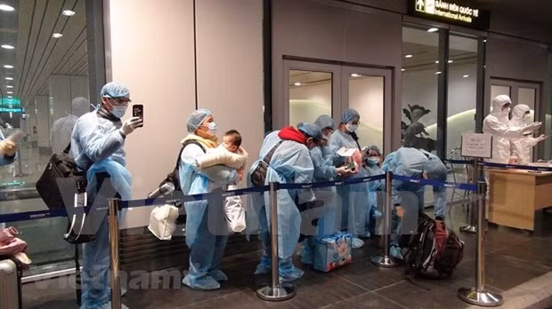 Вьетнамцам за границей советуют сохранять спокойствие на фоне COVID-19 ảnh 1