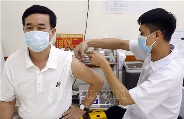 COVID-19: Всего 1.010 новых случаев на 31 мая ảnh 1 COVID-19: Всего 1.010 новых случаев на 31 мая ảnh 1