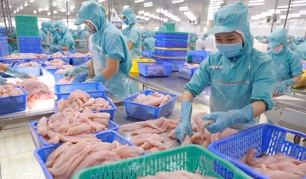 Расширение возможностей экспорта рыбной продукции на рынки ВРЭП ảnh 1