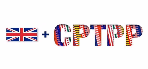 МИД: Вьетнам готов поделиться информацией и опытом о CPTPP с Великобританией ảnh 1