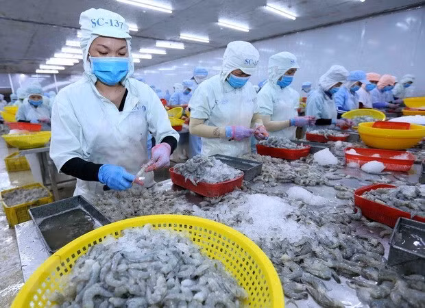 По прогнозам, спрос на потребление водной продукции в полной мере восстановится в 2021 году ảnh 1