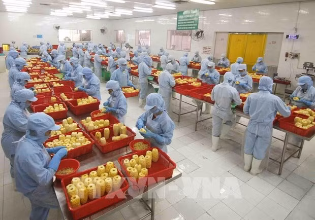 Экспорт фруктов и овощей в первом полугодии вырос на 17,4% ảnh 1