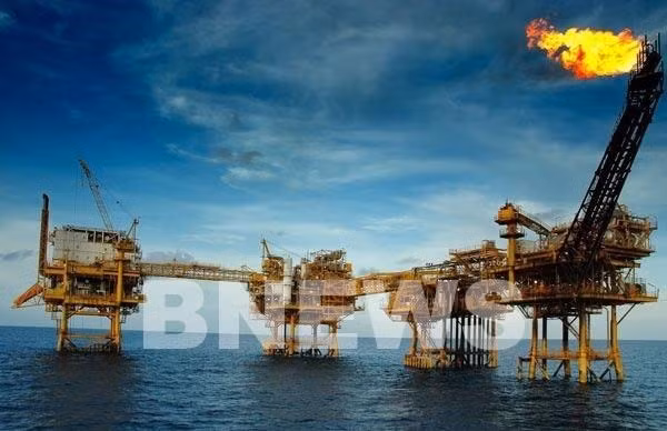 Вклад PVEP в государственный бюджет превышает 92% от плана ảnh 1