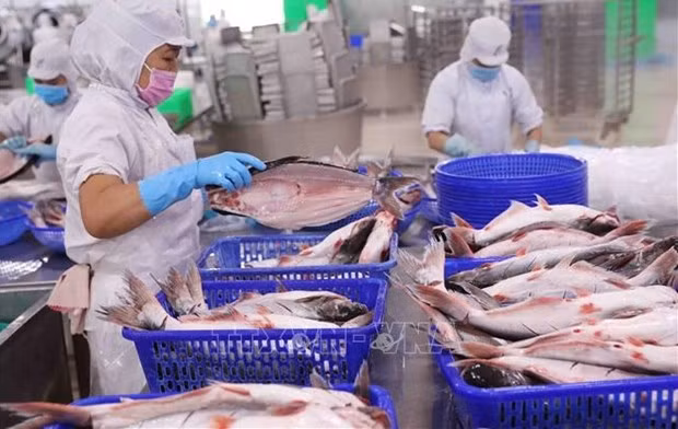 Экспорт рыбной продукции снизился в мае ảnh 1 Экспорт рыбной продукции снизился в мае ảnh 1