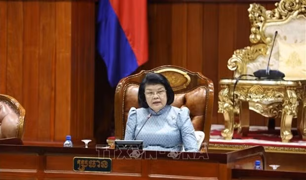 Визит спикера парламента Камбожди во Вьетнам нацелен на укрепление солидарности и традиционной дружбы между двумя странами ảnh 1