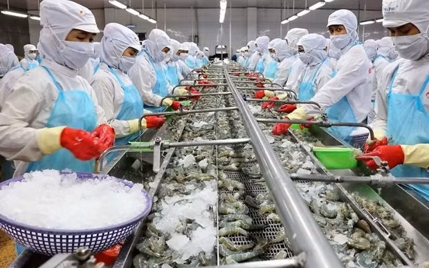 У сектора переработанных продуктов питания есть значительные возможности для развития и привлечения инвестиций ảnh 1