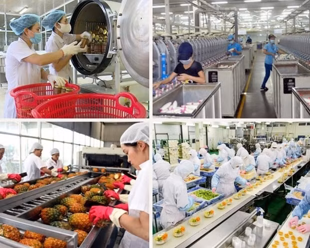 У сектора переработанных продуктов питания есть значительные возможности для развития и привлечения инвестиций ảnh 2