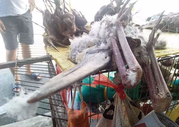 Статья 3: «Быстрые» проверки и "бессилие" рейнджерских сил ảnh 3