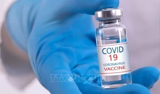 В 2021 году Вьетнам получит более 120 миллионов доз вакцины против COVID-19 ảnh 1