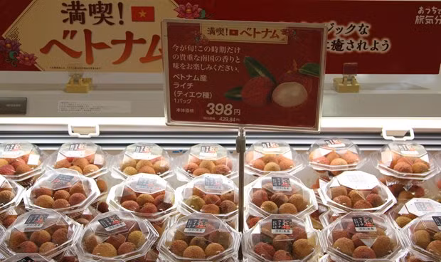Японские потребители все чаще предпочитают вьетнамские товары ảnh 1