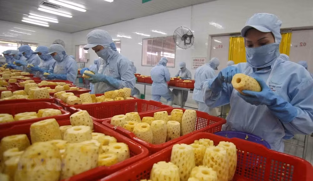 Экспорт фруктов и овощей сильно растет, увеличившись на 57,5% ảnh 1