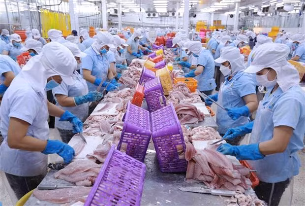 Немецкий эксперт положительно оценивает эффект EVFTA ảnh 1