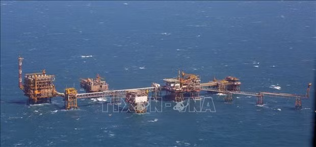 Добыча нефти и газа PetroVietnam за 11 месяцев составила 9,97 млн. тонн ảnh 1
