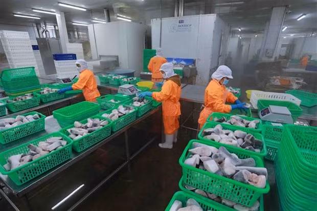 Устойчивость экономики Вьетнама перед лицом международной геополитической нестабильности ảnh 2
