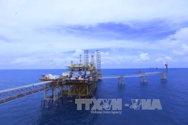 Вьетнамский нефтяной институт (ВНИ) применяет модель МО и ИИ в разведке нефти и газа ảnh 1