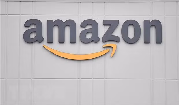 Фирмы сотрудничают с Amazon для увеличения экспорта ảnh 1 Фирмы сотрудничают с Amazon для увеличения экспорта ảnh 1