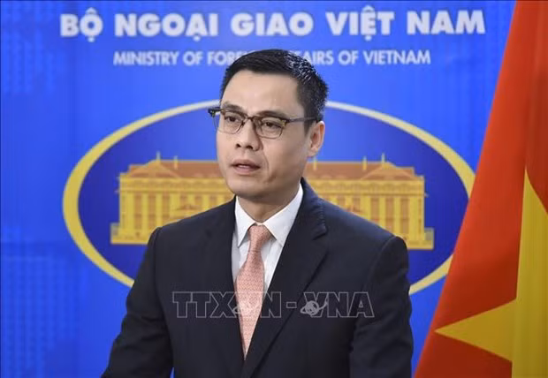 Эффективный вклад в ООН приносит Вьетнаму практическую пользу ảnh 1