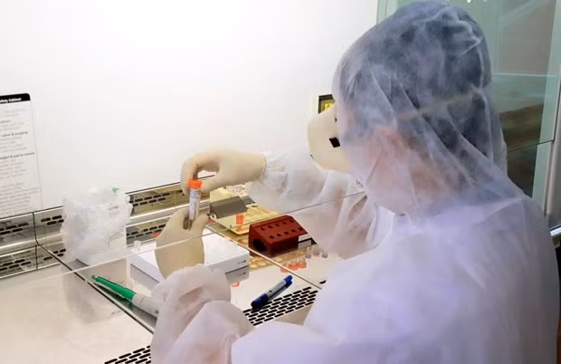 Во Вьетнаме был обнаружен еще новый импортированный случай COVID-19 ảnh 1