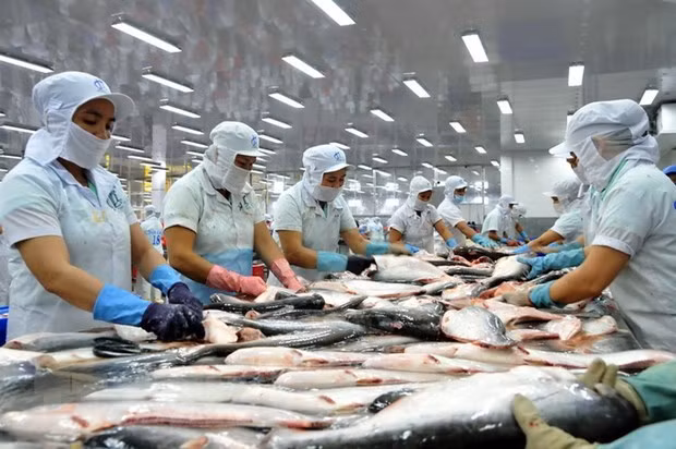 Торговля рыбными субпродуктами принесет огромные деньги ảnh 1 Торговля рыбными субпродуктами принесет огромные деньги ảnh 1