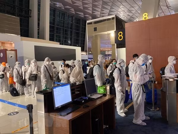 Уполномоченное органы: бортпроводник с положительным диагнозом COVID-19 нарушал правила карантина ảnh 1 Уполномоченное органы: бортпроводник с положительным диагнозом COVID-19 нарушал правила карантина ảnh 1