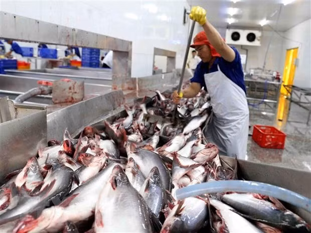 Стоимость экспорта рыбной продукции за 10 месяцев составила 1,2 млрд. долл. США ảnh 1