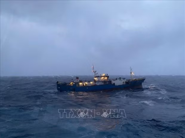 Российское сухогруз, у которого отказал двигатель, отбуксирован военно-морскими силами Вьетнама ảnh 1
