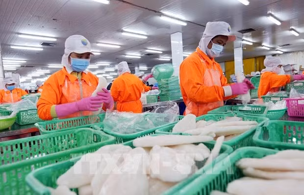 Кантхо зафиксировал рост на 5,61% в первом полугодии ảnh 1