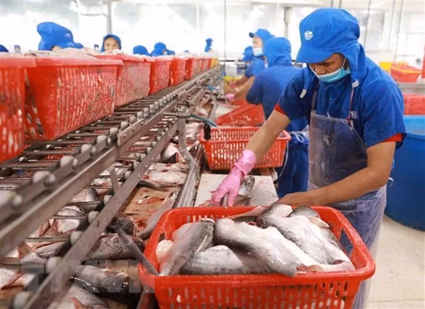 Экспорт рыбной продукции резко упал из-за социального дистанцирования ảnh 1