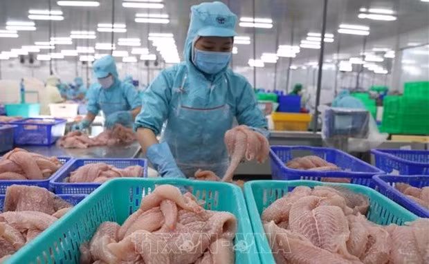 Целевой показатель экспортного оборота продукции сельского, лесного и водного хозяйства пересмотрен до 45 млрд. долл. США ảnh 1