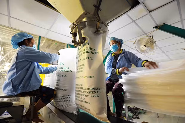 Филиппины - рынок с высоким потенциалом для вьетнамского экспорта ảnh 1