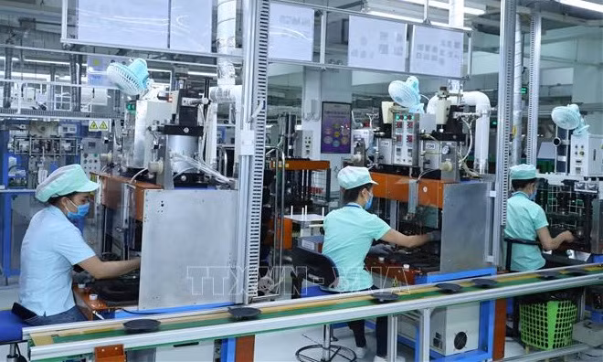Во Вьетнаме насчитывается 683.600 работающих компаний ảnh 1