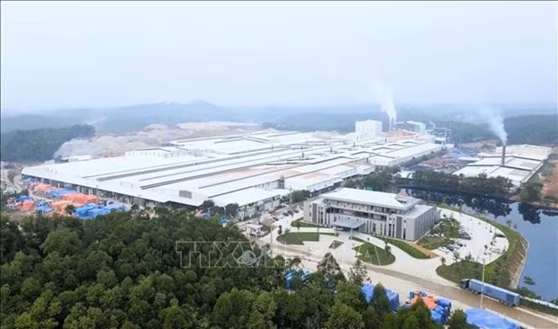 Вьетнам вошел в список стран, получающих от Германии льготные инвестиционные гарантии ảnh 2