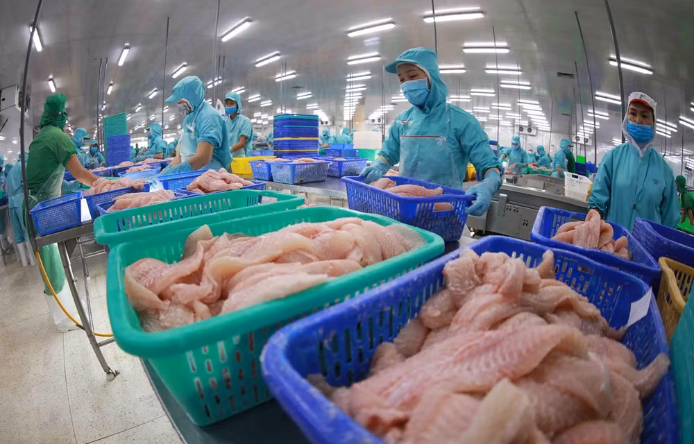 Использование имеющихся возможностей для продвижения экспорта морепродуктов в ЕС ảnh 1
