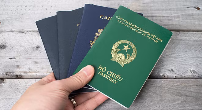 Департамент иммиграции запустил пилотную модель по выдаче паспортов через электронный портал ảnh 1