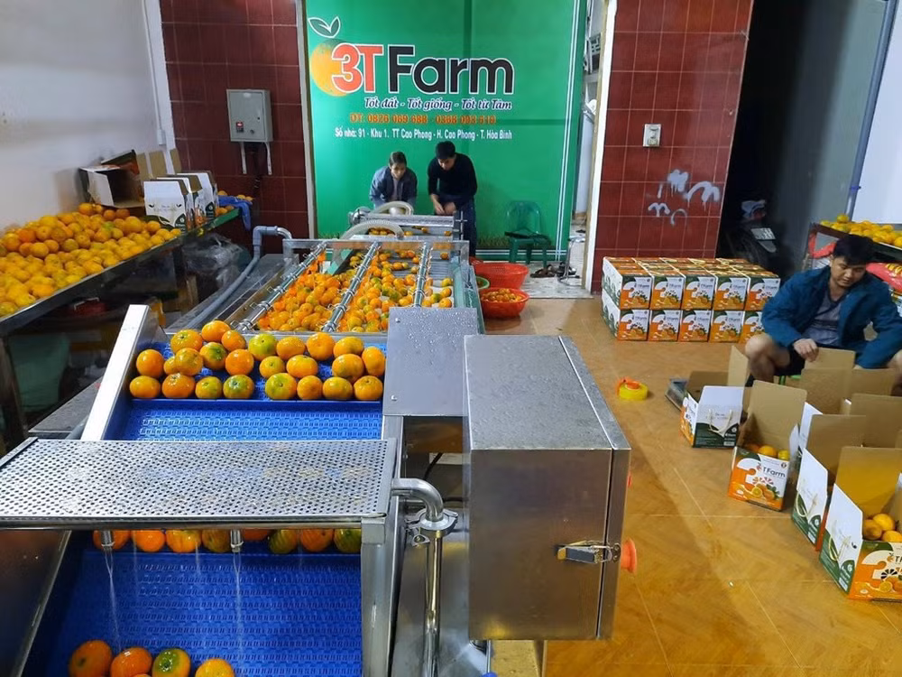 Бренд сельскохозяйственной продукции должен быть на карте цифровой трансформации ảnh 2