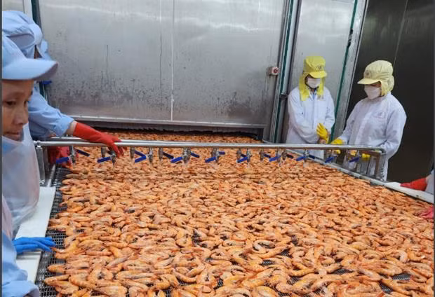 Банк UOB снизил свой прогноз роста ВВП Вьетнама до 5% ảnh 1