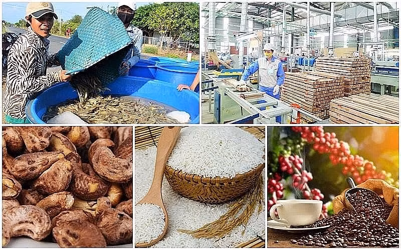 За 5 месяцев экспорт продукции сельского, лесного и рыбного хозяйства сократился более чем на 11% ảnh 1