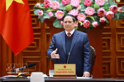 Премьер-министр Фам Минь Тьинь провёл пятое заседание Руководящего комитета по строительству АЭС (Фото: ВИА)