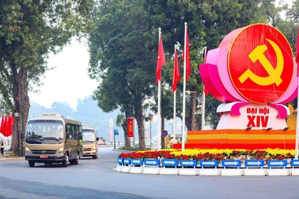 Управление автомобильной и транспортной техники (Минобороны) во взаимодействии с профильными ведомствами задействовало 286 военнослужащих и водителей, а также 121 транспортное средство со всего Вооружённого сил Вьетнама для выполнения поставленных задач (Фото: ВИА)