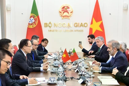 Общий вид переговоров (Фото: МИД Вьетнама)