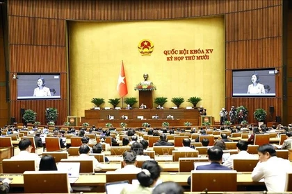 Утреннеё заседание 12 ноября 10-й сессий НС XV созыва (Фото: ВИА)