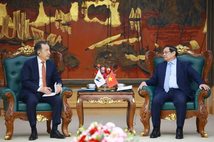 Премьер-министр Фам Минь Тьинь принял Председателя Коллегии ЕЭК (Фото: ВИА) 