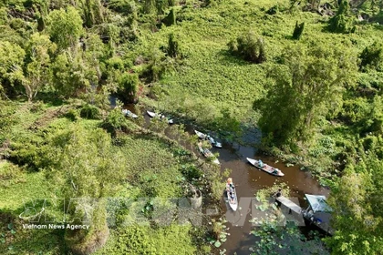 В 2026 году будет завершено формирование базы данных о лесах в целях адаптации к Регламенту ЕС о регулировании импорта и экспорта продукции, не связанной с обезлесением и деградацией лесов (Фото: ВИА)