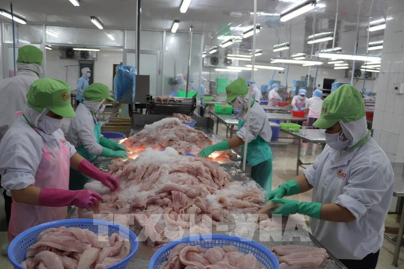 Переработка рыбных продуктов порождает значительный объём побочной продукции. (Фото: ВИА)
