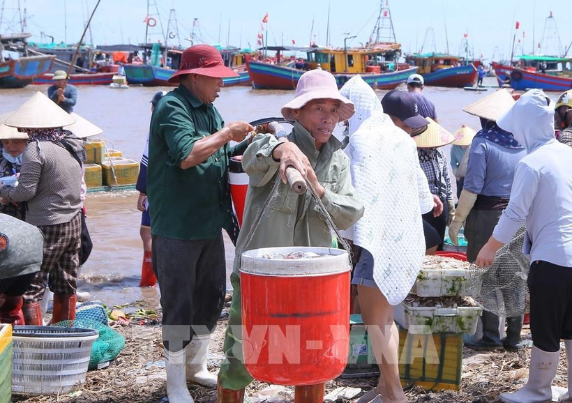 Жители переносят купленные ящики с морепродуктами на берег, чтобы доставить их на рынок Жаохай в общине Жаофук для реализации. (Фото: ВИА)